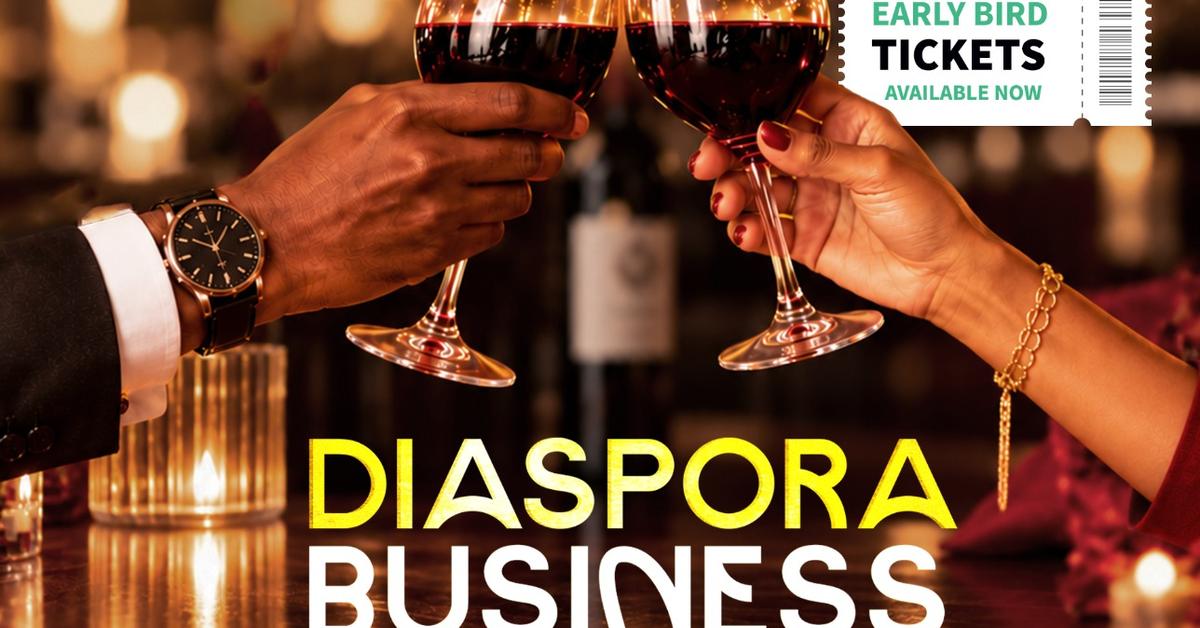 Diaspora Business Networking Mixer flyer